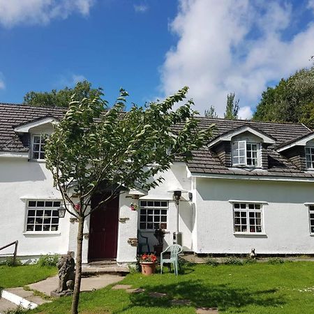 Coynant Farm Guesthouse - Farm Park Stay Swansea Luaran gambar
