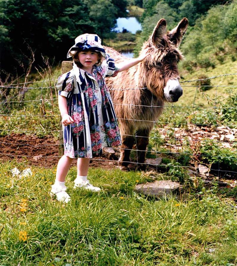 Coynant Farm Guesthouse - Farm Park Stay Swansea Luaran gambar