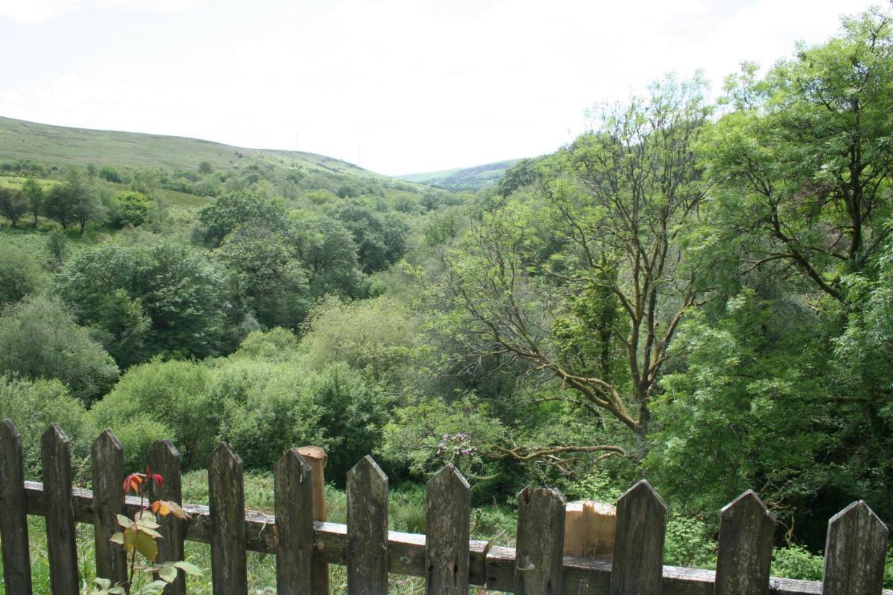 Coynant Farm Guesthouse - Farm Park Stay Swansea Luaran gambar