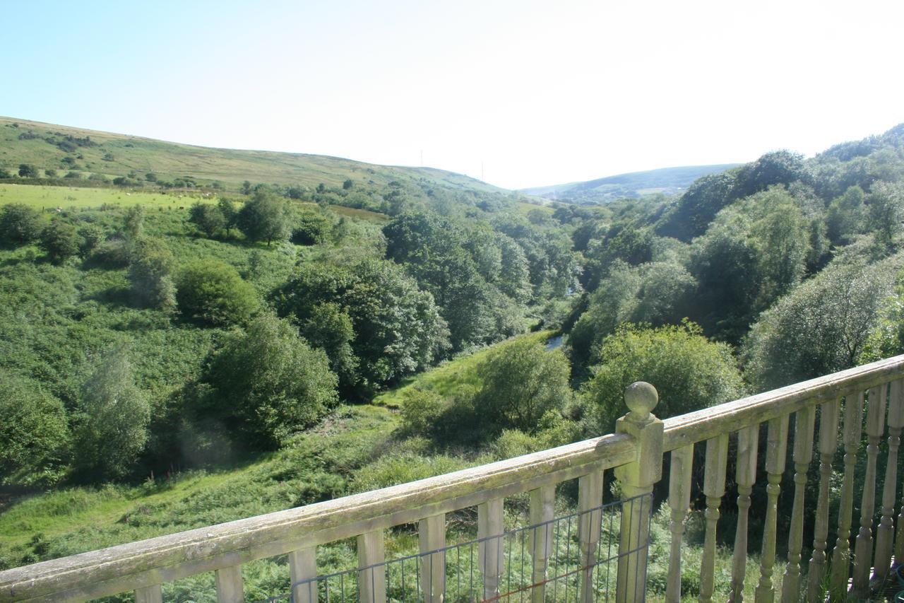 Coynant Farm Guesthouse - Farm Park Stay Swansea Luaran gambar