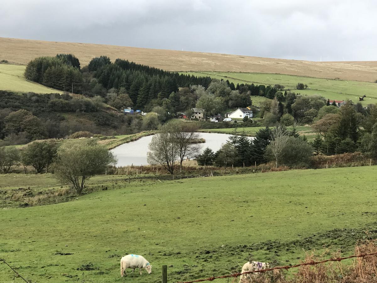 Coynant Farm Guesthouse - Farm Park Stay Swansea Luaran gambar