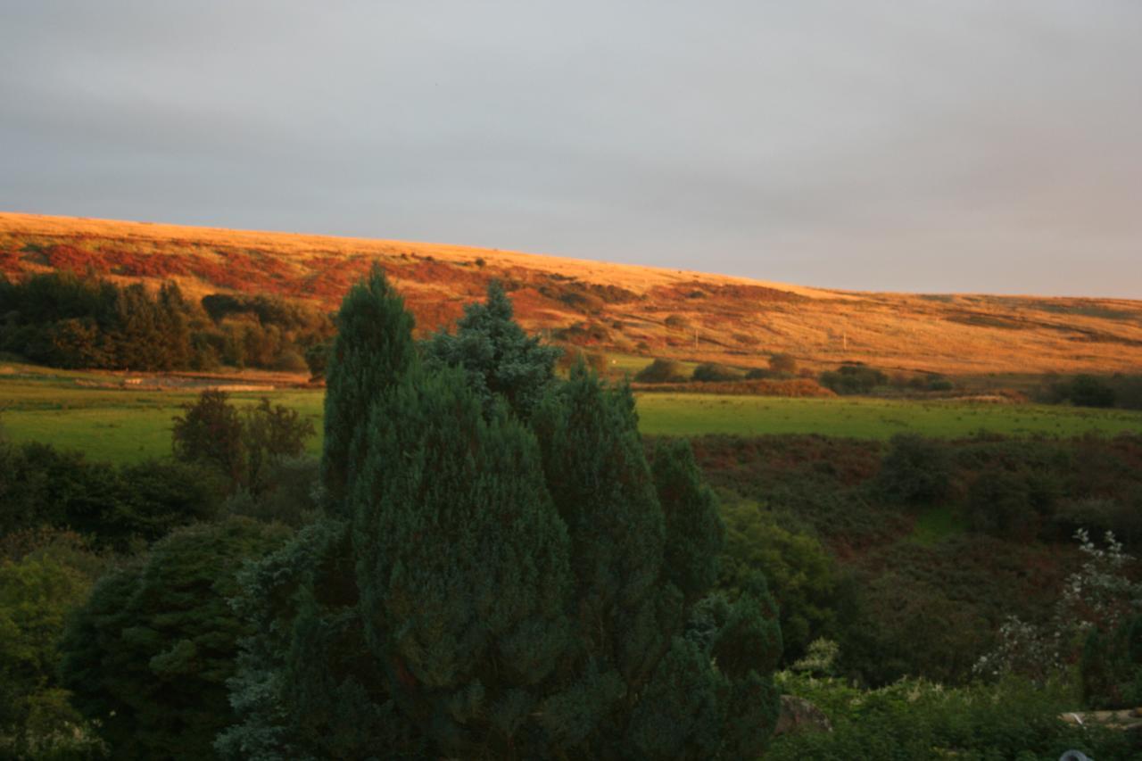 Coynant Farm Guesthouse - Farm Park Stay Swansea Luaran gambar