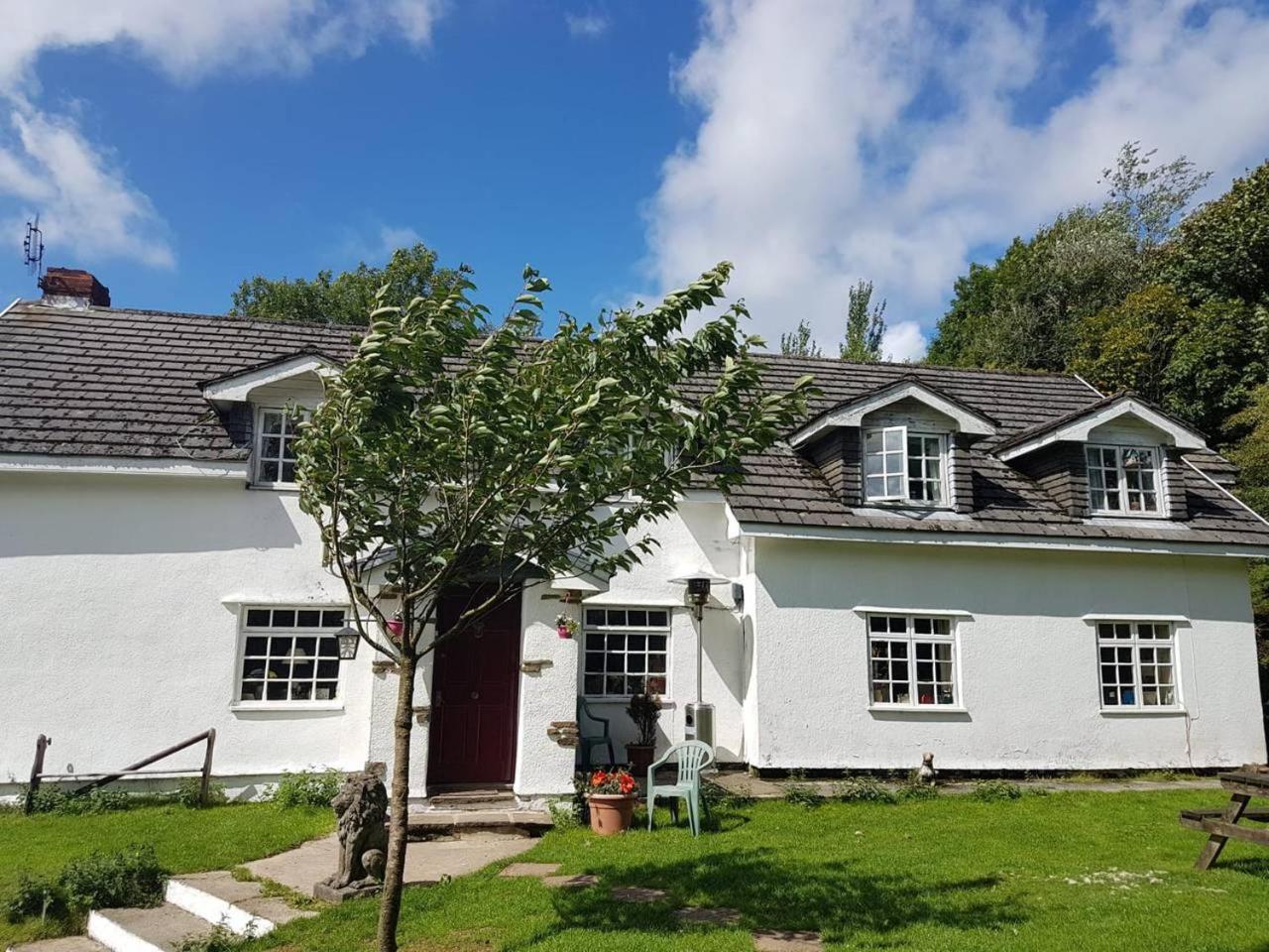 Coynant Farm Guesthouse - Farm Park Stay Swansea Luaran gambar